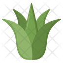 پیش‌نمایش فایل agave-8054269 از پک مکزیک