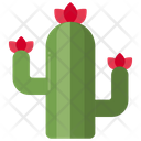 پیش‌نمایش فایل cactus-8054279 از پک مکزیک