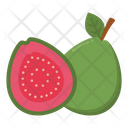 پیش‌نمایش فایل guava-8054296 از پک مکزیک