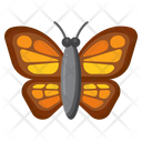 پیش‌نمایش فایل monarch-butterfly-8054322 از پک مکزیک