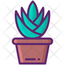 پیش‌نمایش فایل agave-8054265 از پک مکزیک