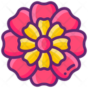 پیش‌نمایش فایل marigolds-8054223 از پک مکزیک