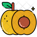 پیش‌نمایش فایل apricot-8095957 از پک میوه