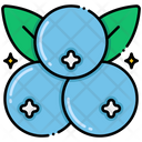 پیش‌نمایش فایل blueberry-8095907 از پک میوه