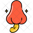 پیش‌نمایش فایل cashew-8095910 از پک میوه