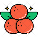پیش‌نمایش فایل clementine-8095913 از پک میوه