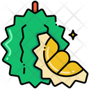 پیش‌نمایش فایل durian-8095919 از پک میوه