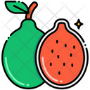 پیش‌نمایش فایل guava-8095925 از پک میوه