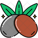 پیش‌نمایش فایل olive-8095936 از پک میوه
