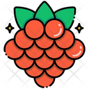پیش‌نمایش فایل raspberry-8095950 از پک میوه