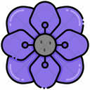 پیش‌نمایش فایل anemone-8094817 از پک گل