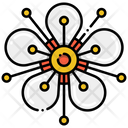 پیش‌نمایش فایل apricot-blossom-8094818 از پک گل