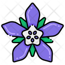 پیش‌نمایش فایل borage-starflower-8094767 از پک گل