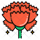پیش‌نمایش فایل carnation-8094770 از پک گل