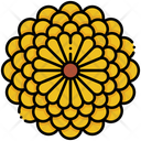 پیش‌نمایش فایل chrysanthemum-8094771 از پک گل