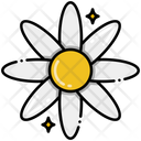 پیش‌نمایش فایل daisy-8094777 از پک گل