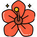 پیش‌نمایش فایل hibiscus-8094783 از پک گل