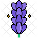 پیش‌نمایش فایل lavender-8094789 از پک گل