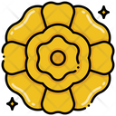 پیش‌نمایش فایل marigold-8094794 از پک گل