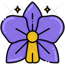 پیش‌نمایش فایل orchid-8094797 از پک گل