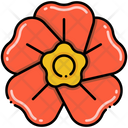 پیش‌نمایش فایل primrose-8094805 از پک گل
