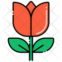 پیش‌نمایش فایل tulip-8094813 از پک گل
