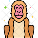 پیش‌نمایش فایل japanese-macaque-8094899 از پک ژاپن