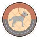 پیش‌نمایش فایل walking-pet-8095555 از پک روال روزانه زندگی روزمره