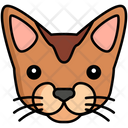 پیش‌نمایش فایل abyssinian-cat-8099495 از پک حیوان خانگی