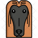 پیش‌نمایش فایل afghan-hound-dog-8099406 از پک حیوان خانگی