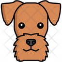 پیش‌نمایش فایل airedale-terrier-dog-8099407 از پک حیوان خانگی