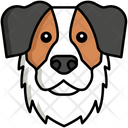 پیش‌نمایش فایل australian-shepherd-dog-8099408 از پک حیوان خانگی