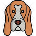 پیش‌نمایش فایل basset-hound-dog-8099409 از پک حیوان خانگی
