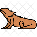 پیش‌نمایش فایل bearded-dragon-8099411 از پک حیوان خانگی