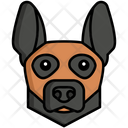 پیش‌نمایش فایل belgian-malinois-dog-8099412 از پک حیوان خانگی