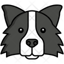پیش‌نمایش فایل border-collie-dog-8099414 از پک حیوان خانگی