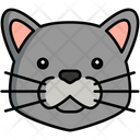 پیش‌نمایش فایل british-shorthair-cat-8099416 از پک حیوان خانگی