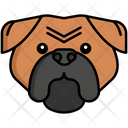پیش‌نمایش فایل bulldog-dog-8099418 از پک حیوان خانگی