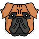پیش‌نمایش فایل bullmastiff-dog-8099419 از پک حیوان خانگی