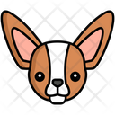 پیش‌نمایش فایل chihuahua-dog-8099422 از پک حیوان خانگی
