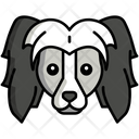 پیش‌نمایش فایل chinese-crested-dog-8099423 از پک حیوان خانگی