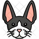 پیش‌نمایش فایل cornish-rex-cat-8099428 از پک حیوان خانگی