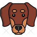 پیش‌نمایش فایل dachshund-dog-8099429 از پک حیوان خانگی