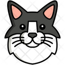 پیش‌نمایش فایل domestic-longhair-cat-8099433 از پک حیوان خانگی
