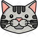 پیش‌نمایش فایل domestic-shorthair-dog-8099434 از پک حیوان خانگی