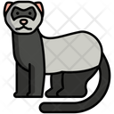 پیش‌نمایش فایل ferret-cat-8099436 از پک حیوان خانگی
