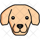 پیش‌نمایش فایل golden-retriever-dog-8099442 از پک حیوان خانگی