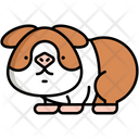 پیش‌نمایش فایل guinea-pig-8099444 از پک حیوان خانگی