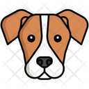 پیش‌نمایش فایل jack-russell-terrier-dog-8099449 از پک حیوان خانگی