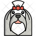 پیش‌نمایش فایل maltese-dog-8099454 از پک حیوان خانگی